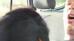 Pretty African Darling Sucking Dick White Dick In The Car On The Safari